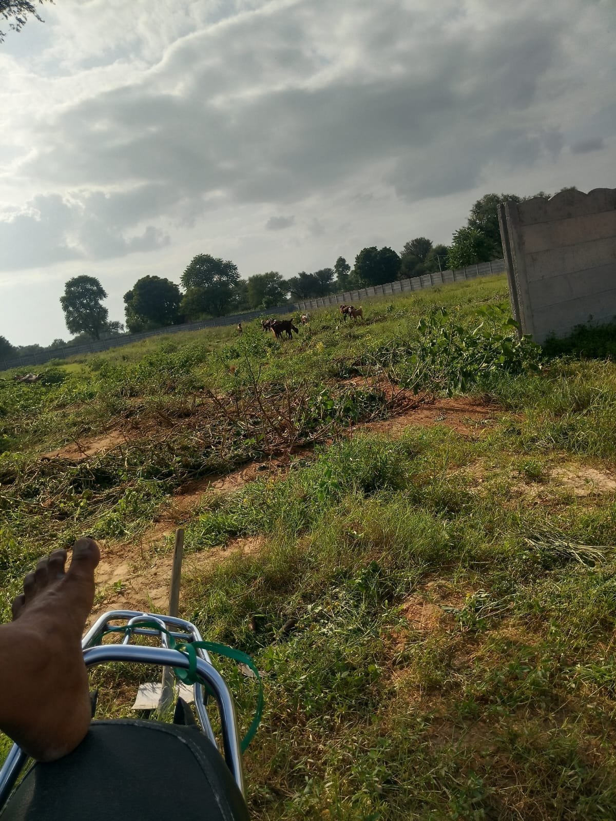Khatu Nivas Enclave